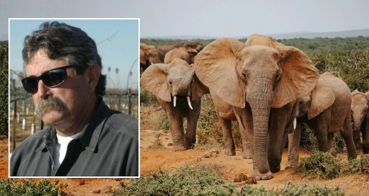 Gabon’da Safari Faciası: ABD’li Avcı Fil Saldırısında Hayatını Kaybetti